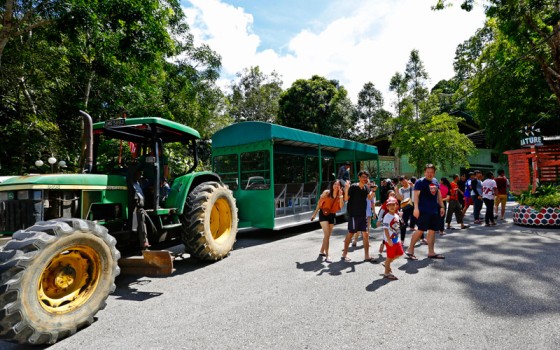 Borneo Tropical Rainforest Tour